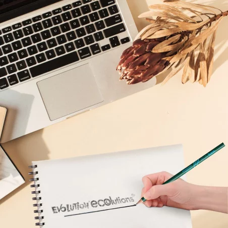 Crayon Bic ® Evolution Digital Recyclé Cut 