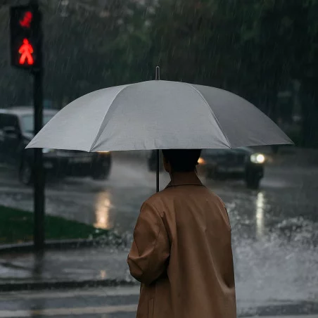 Parapluie personnalisable Dewey 