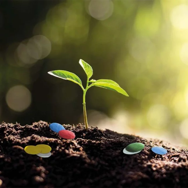 Sachet de confettis en papier ensemencé 