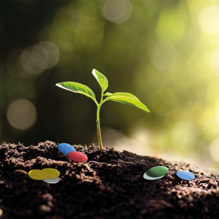 Sachet de confettis en papier ensemencé 