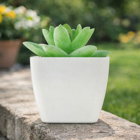 Mini plante artificielle personnalisée Artigrap 