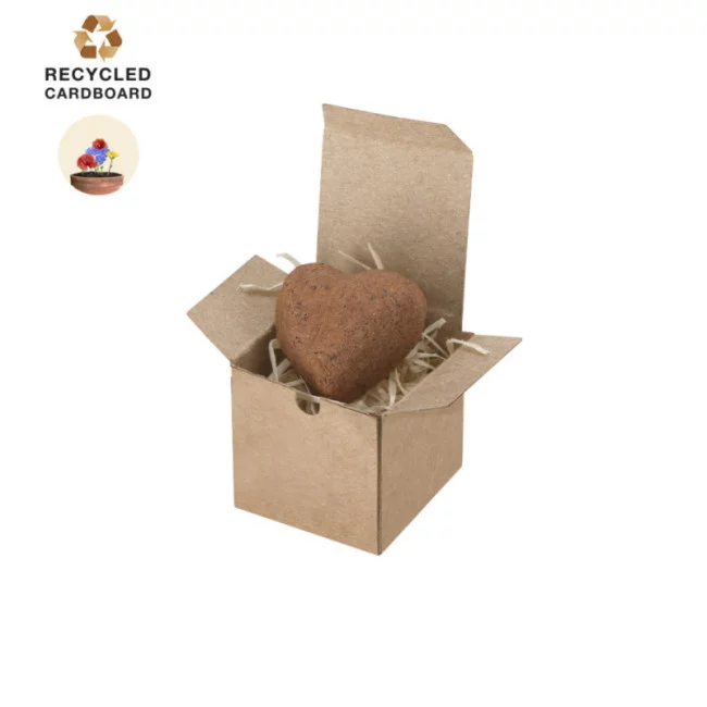 Boîte de graines à planter personnalisée Fobin 