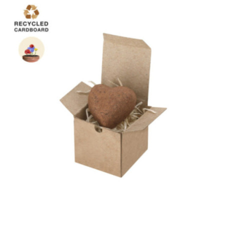 Boîte de graines à planter personnalisée Fobin 