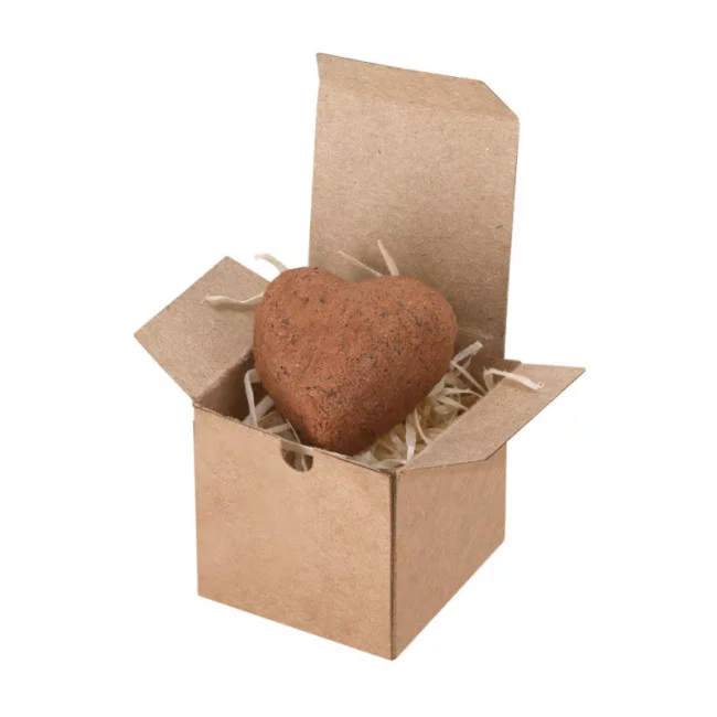 Boîte de graines à planter personnalisée Fobin 