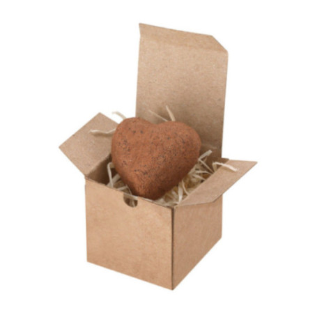 Boîte de graines à planter personnalisée Fobin 