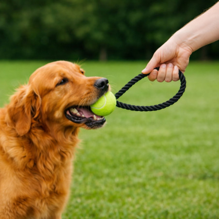 Jouet à mâcher pour chien Xekar 