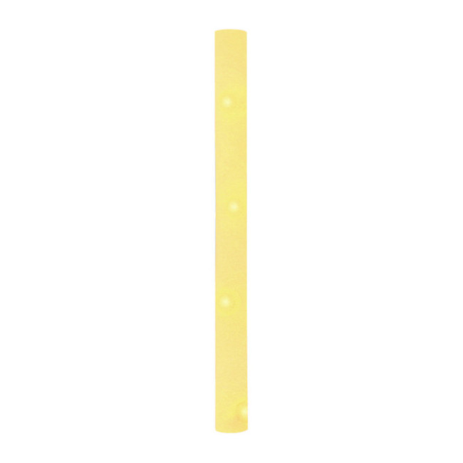 Bâton lumineux personnalisable Nociox 
