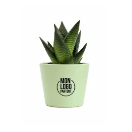 Mini plante personnalisable...