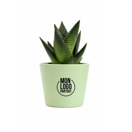 Mini plante personnalisable en pot Limifolia 