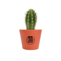 Mini plante personnalisée en pot Cactus 