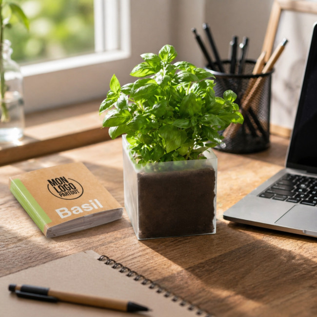 Substrat avec graines Basilic Promotionnel 