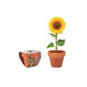 Kit plantation publicitaire Tournesol 