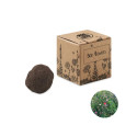 Kit de culture de graines Bombi II 
