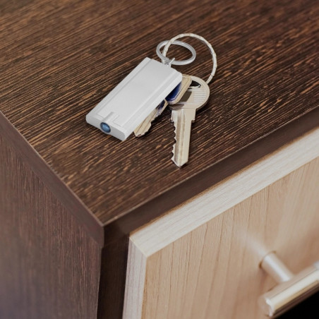Porte-clés avec lampe LED Castor 