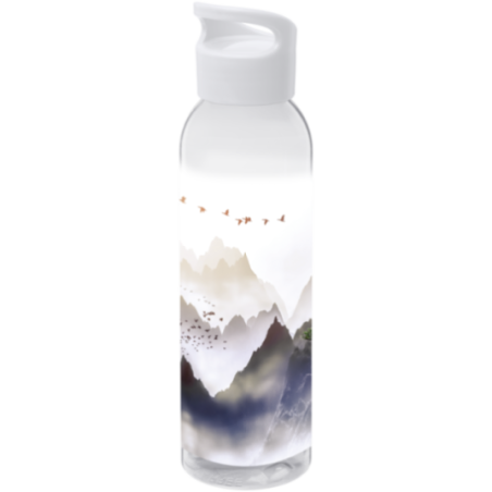 Gourde de sport personnalisée Sky 650 ml 