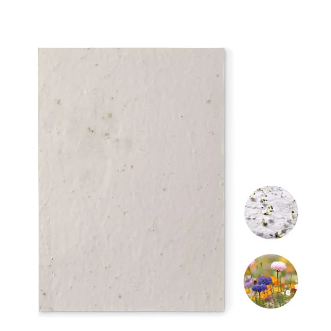 Feuille de papier recyclé à planter A5 Aside