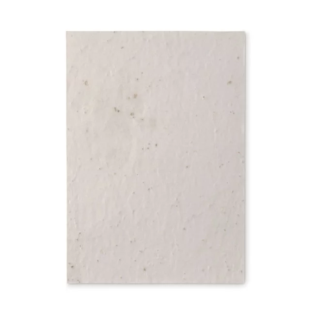 Feuille de papier recyclé à planter A5 Aside
