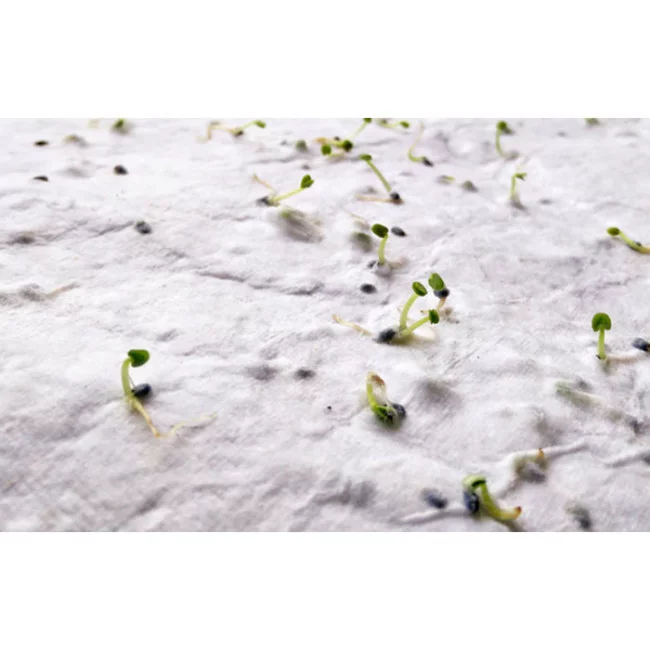 Feuille de papier recyclé à planter A5 Aside