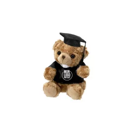 Ours en peluche diplômé