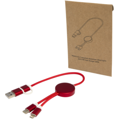 Câble de charge publicitaire 5-en-1 de 30 cm Alasia 