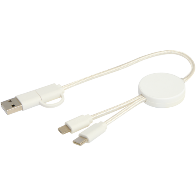 Câble 5-en-1 en plastique recyclé de 30 cm Citala 