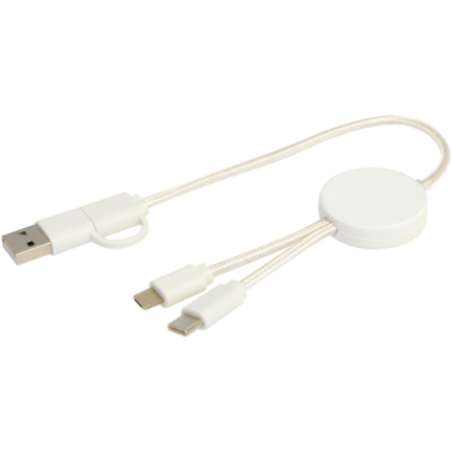 Câble 5-en-1 en plastique recyclé de 30 cm Citala 