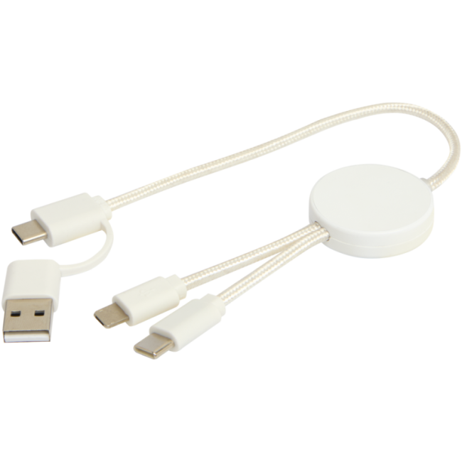 Câble 5-en-1 en plastique recyclé de 30 cm Citala 