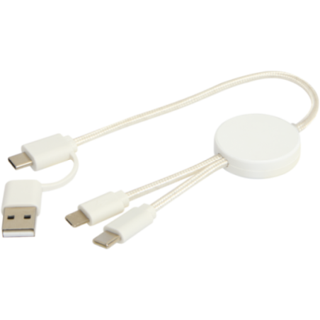 Câble 5-en-1 en plastique recyclé de 30 cm Citala 