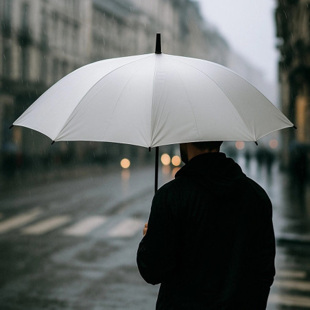 Parapluie de golf personnalisé 30" Zeke 