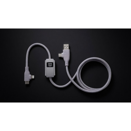 Câble de recharge rapide Allure 100W Xoopar® 
