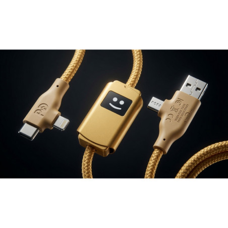 Câble de recharge rapide Allure 100W Xoopar® 