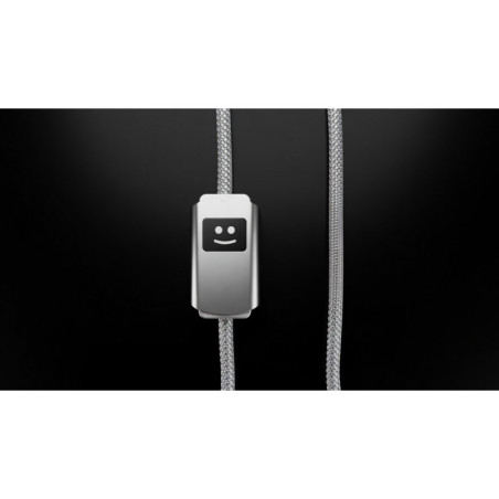 Câble de recharge rapide Allure 100W Xoopar® 