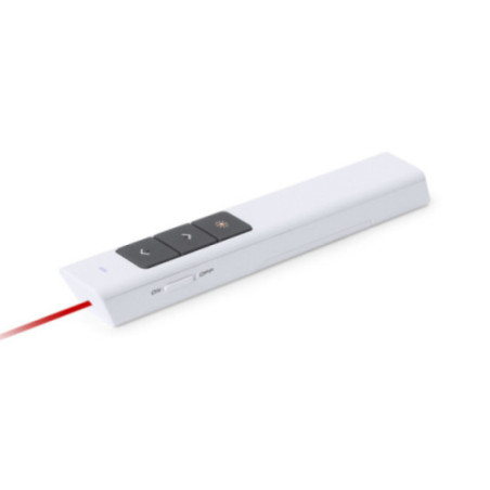 Pointeur laser personnalisé Haslam 