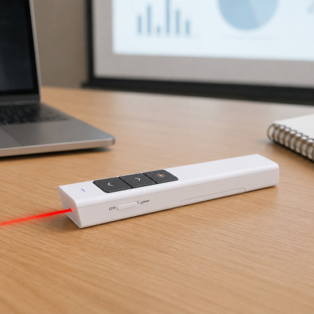 Pointeur laser personnalisé Haslam 