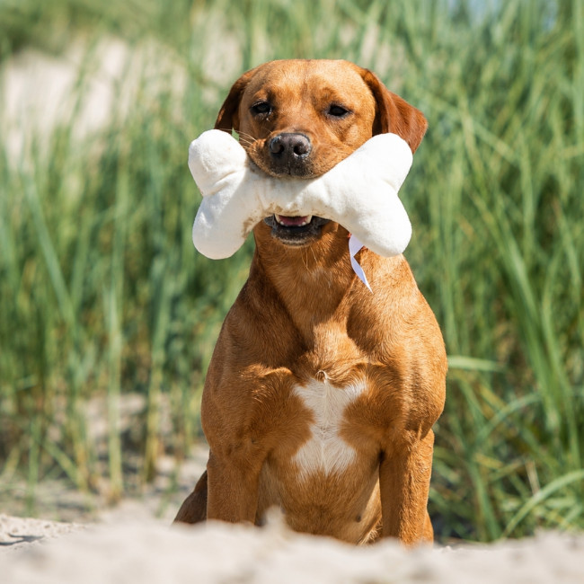 Peluche pour chien personnalisable OS MBW® 