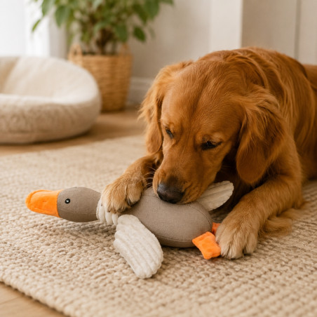 Peluche pour chien personnalisée Canard MBW® 