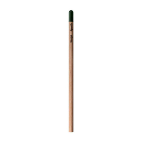 Sprout ® Le crayon personnalisable qui germe 
