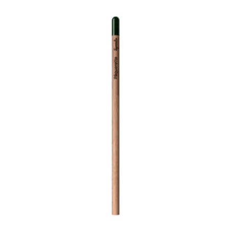 Sprout ® Le crayon personnalisable qui germe 