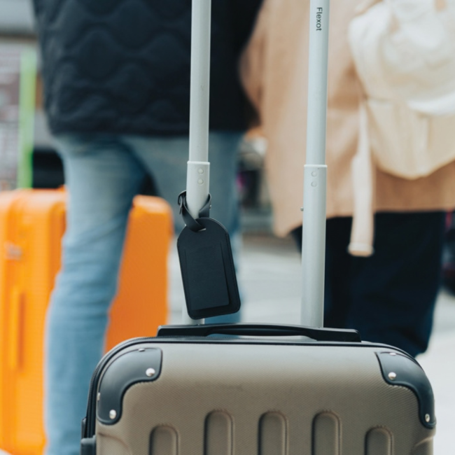 Étiquette à bagages avec géolocalisation Globefind Dual 