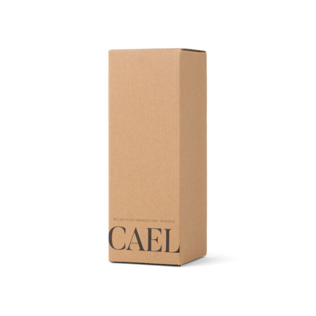 Bouteille isotherme personnalisée VINGA Cael 600 ml 