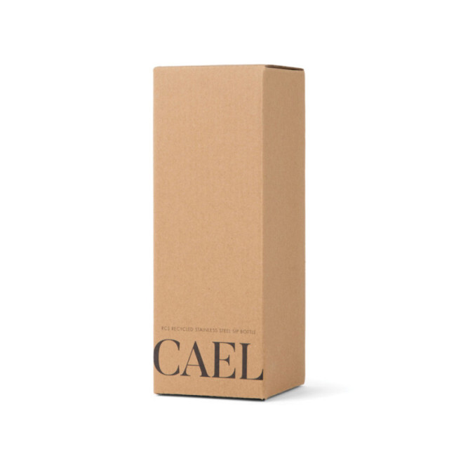 Bouteille isotherme personnalisée VINGA Cael 600 ml 