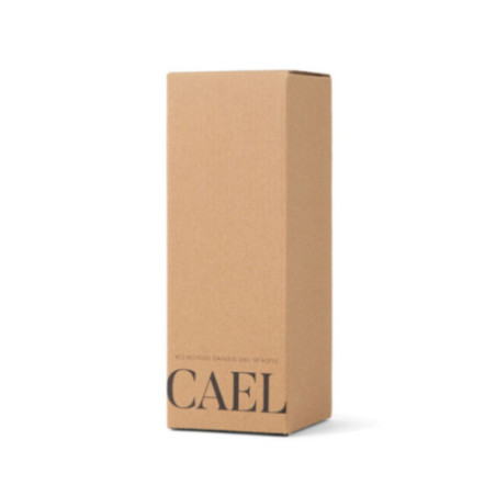 Bouteille isotherme personnalisée VINGA Cael 600 ml 