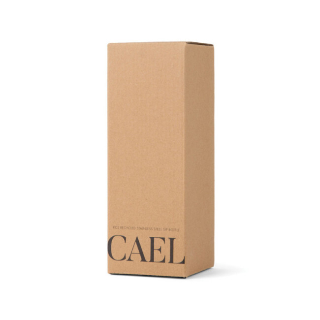 Bouteille isotherme personnalisée VINGA Cael 600 ml 
