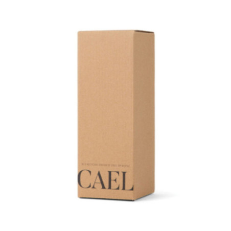 Bouteille isotherme personnalisée VINGA Cael 600 ml 
