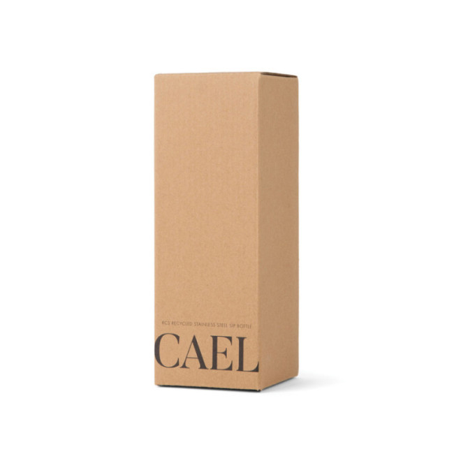 Bouteille isotherme personnalisée VINGA Cael 600 ml 
