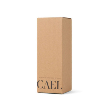 Bouteille isotherme personnalisée VINGA Cael 600 ml 