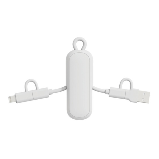 Câble porte-clés 4-en-1 Urban Vitamin Dublin 100W 