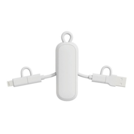 Câble porte-clés 4-en-1 Urban Vitamin Dublin 100W 