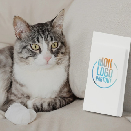 Kit de soins pour animaux en pochette papier MyKit 