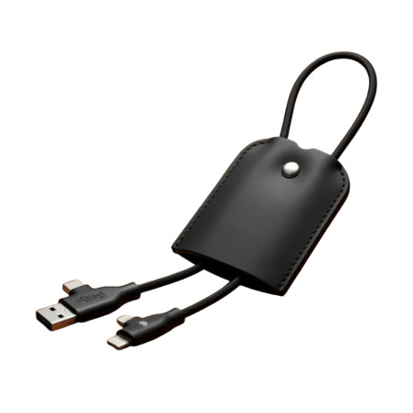 Câble de charge Xoopar ® Le Sellier Etui 60W 